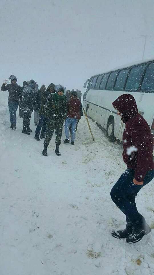 وێنه‌ و ڤیدیۆ.. هه‌ندێك ناوچه‌ی كوردستان دوای بارینی به‌فر